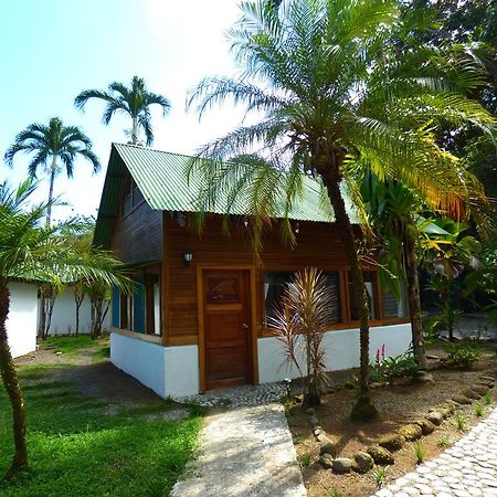 Corcovado Beach Lodge Puerto Jiménez Dış mekan fotoğraf