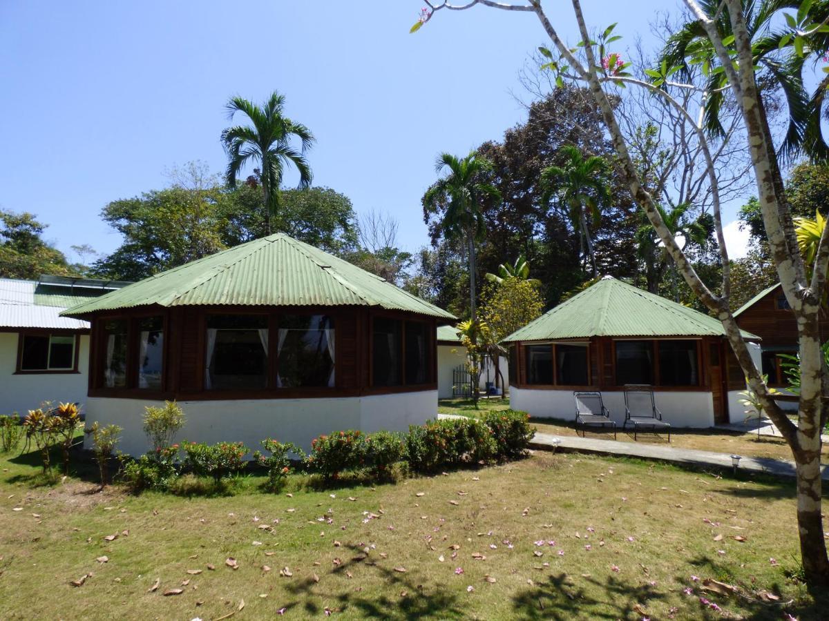 Corcovado Beach Lodge Puerto Jiménez Dış mekan fotoğraf