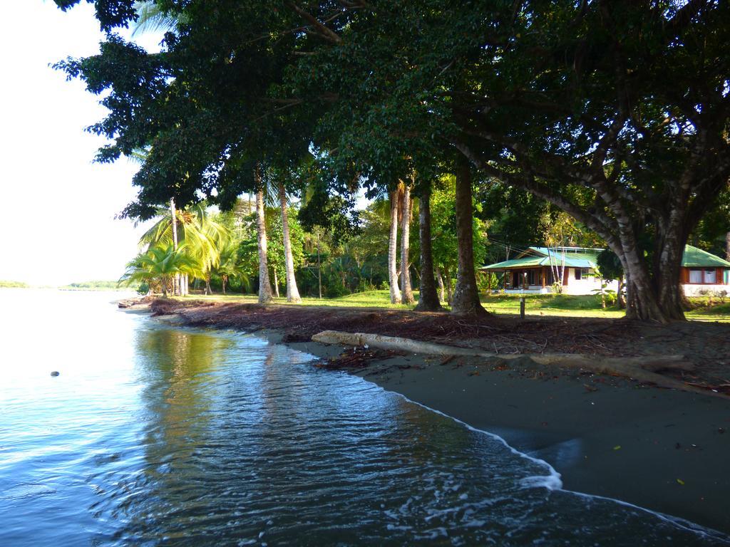 Corcovado Beach Lodge Puerto Jiménez Dış mekan fotoğraf