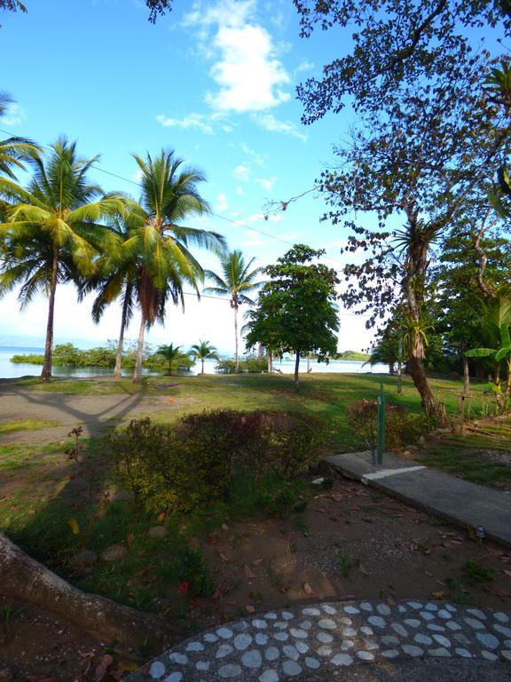 Corcovado Beach Lodge Puerto Jiménez Dış mekan fotoğraf