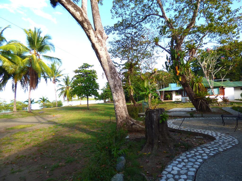 Corcovado Beach Lodge Puerto Jiménez Dış mekan fotoğraf