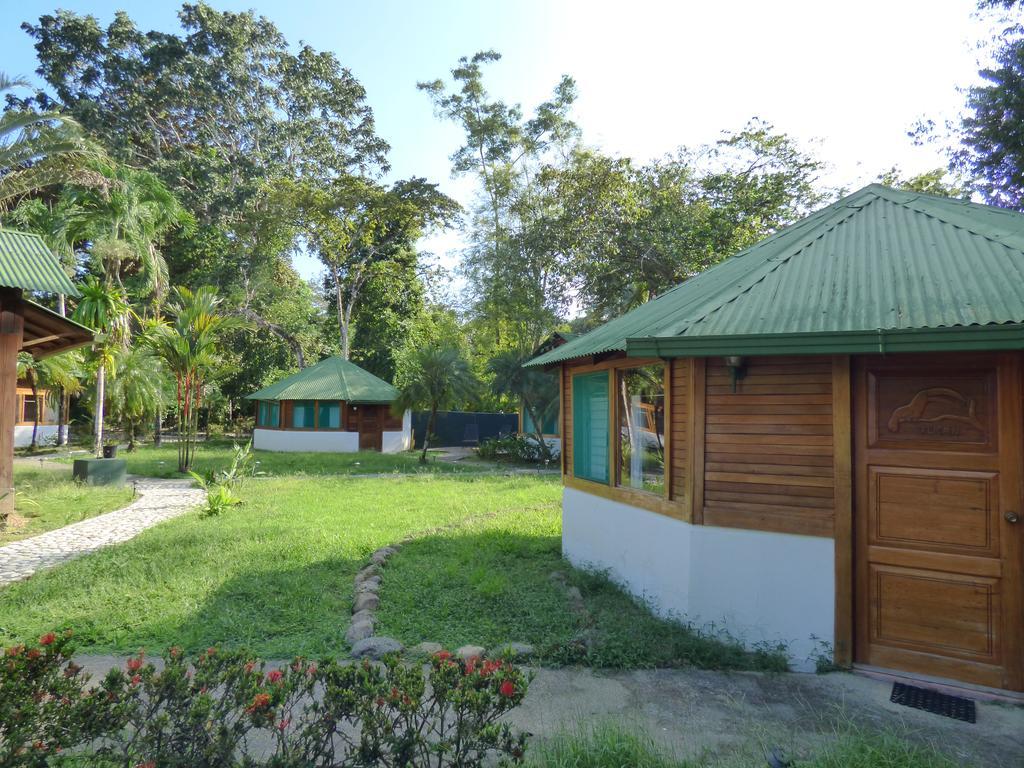 Corcovado Beach Lodge Puerto Jiménez Dış mekan fotoğraf