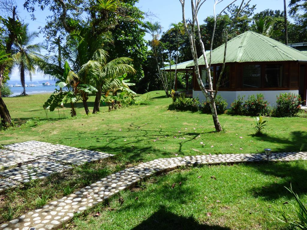 Corcovado Beach Lodge Puerto Jiménez Dış mekan fotoğraf