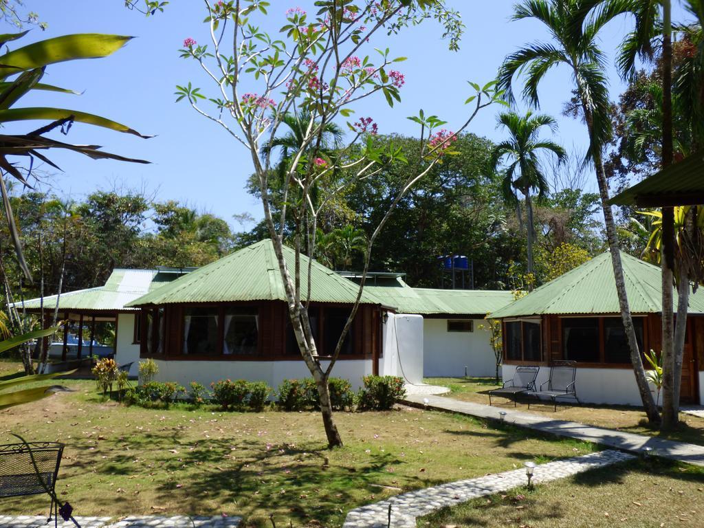 Corcovado Beach Lodge Puerto Jiménez Dış mekan fotoğraf