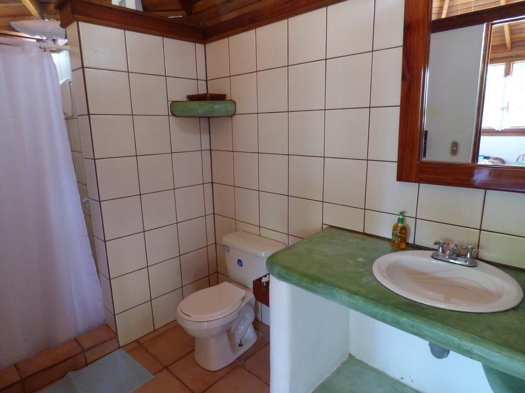 Corcovado Beach Lodge Puerto Jiménez Dış mekan fotoğraf
