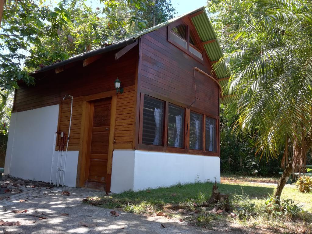 Corcovado Beach Lodge Puerto Jiménez Dış mekan fotoğraf